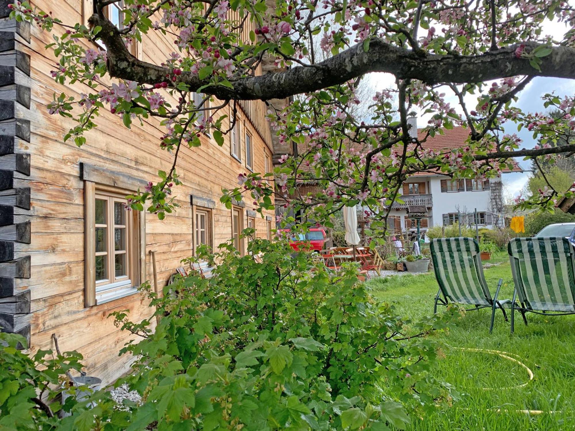Biohof Neihausmo Appartement Böbing Buitenkant foto